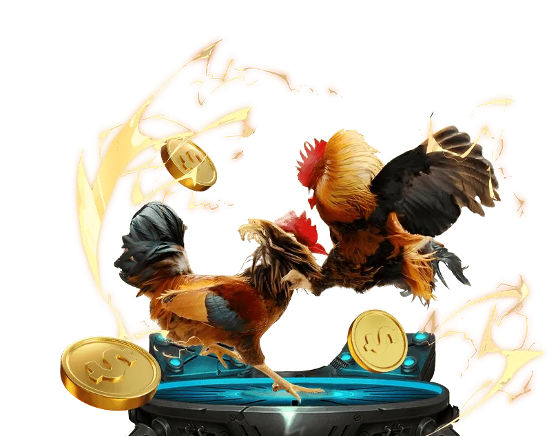 Trải nghiệm đá gà SV888